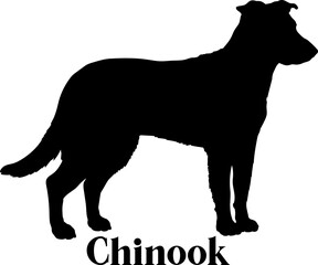  Chinook  Dog silhouette breeds dog breeds dog monogram logo dog face vector