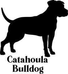 Catahoula Bulldog Dog silhouette breeds dog breeds dog monogram logo dog face vector