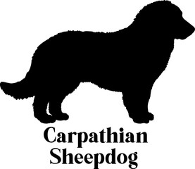 Carpathian Sheepdog  Dog silhouette breeds dog breeds dog monogram logo dog face vector