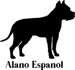 Alano Espanol Dog silhouette breeds dog breeds dog monogram logo dog face vector