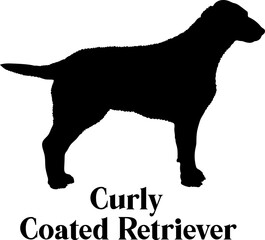 Curly Coated Retriever  Dog silhouette breeds dog breeds dog monogram logo dog face vector
