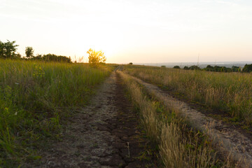 Fototapeta na wymiar Rural road among fields