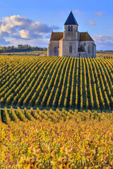 Église Saint-Claire de Préhy dans le vignoble de Chablis, Bourgogne, France