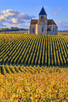 &Eacute;glise Saint-Claire de Pr&eacute;hy dans le vignoble de Chablis, Bourgogne, France