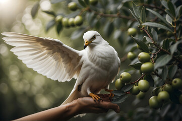 A peace dove carrying an olive branch as a sign of peace - obrazy, fototapety, plakaty