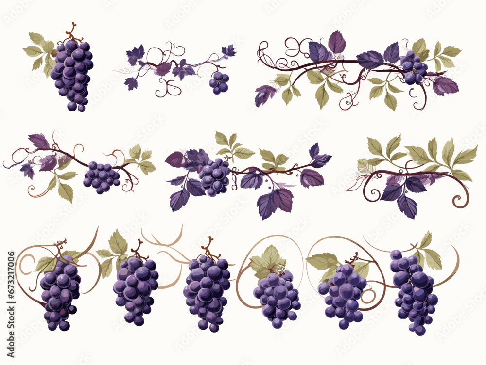Poster drawing of set of design elements with grapes illustration separated, sweeping overdrawn lines.