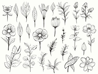 Drawing of Set of vector flower icons illustration separated, sweeping overdrawn lines.