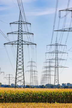 Reihen von Strommasten mit vielen Stromleitungen bis zum Horizont