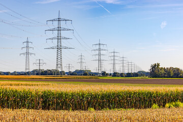 Landscape with fields and many electricity pylons and lines for the electricity grid