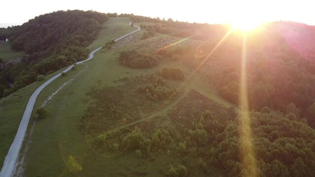 Road in nature on sunset drone video