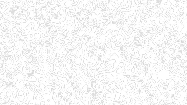 Topographic contour map. similarcartography illustration. Topography and geography map grid abstract backdrop. Business concept.