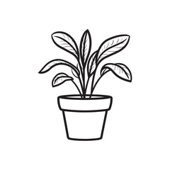 Potted Plant Vector Art, Icons, and Graphics 