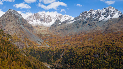 Foliage all'Alpe. e lago Palù, Valmalenco, in autunno