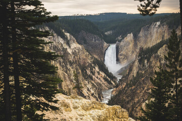 Yellowstone