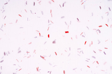 Japanese handmade paper, texture background