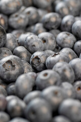 sweet and delicious blueberries during storage before sale