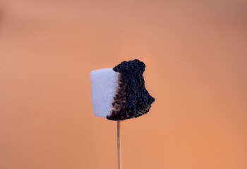 Marshmallow catching fire on a wooden stick