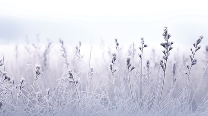 Frozen tree Branch background. Hello winter concept. Frost snow covered branches. snowy hoarfrost...