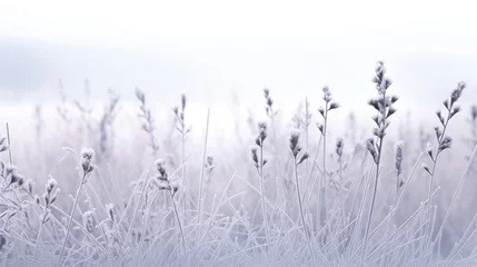 Tuinposter Frozen tree Branch background. Hello winter concept. Frost snow covered branches. snowy hoarfrost forest close-up Wallpaper, poster. Beautiful Amazing nature scene. Winter wonderland. Idyllic nature.. © Oksana Smyshliaeva