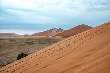 Fototapeta na wymiar 45 sand dune in the Namib desert