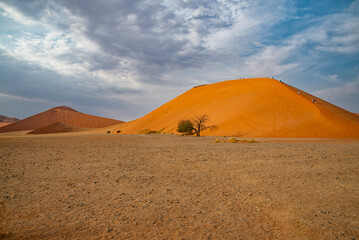 Fototapeta na wymiar 45 sand dune in the Namib desert