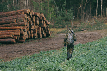 hunter walks through the forest with a gun