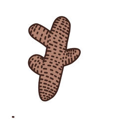 Ginger Vector Illustration 