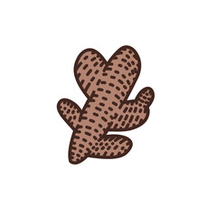 Ginger Vector Illustration 