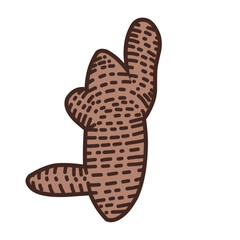 Ginger Vector Illustration 