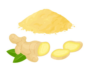 Dry ginger powder heap, ginger root whole and sliced. isolated on white. Vector cartoon flat illustration spicy spice seasoning. 