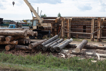 Fototapeta premium Timber Harvesting For Lumber Industry Or Wooden Housing Construction Concept. Large Woodpile From Sawn Debarked Pine Wood Logs