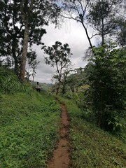 The lush green valleys around the foot hills of Mount Kilimanjaro in Tanzania, Africa