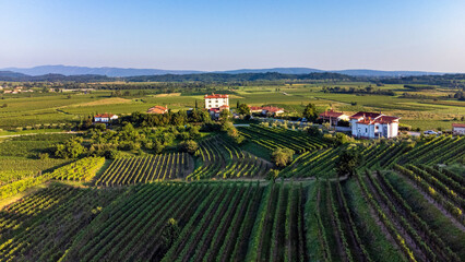 Gredič vineyard in region country - obrazy, fototapety, plakaty