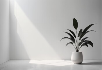 empty interior with white wall, plants, floor and empty space. 3d rendering, mock up, 3d illustration empty interior with white wall, plants, floor and empty space. 3d rendering, mock up, 3d illustrat