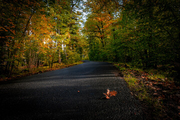 Droga pośród jesiennych kolorów.Okolice Karpnik (Dolny Śląsk)