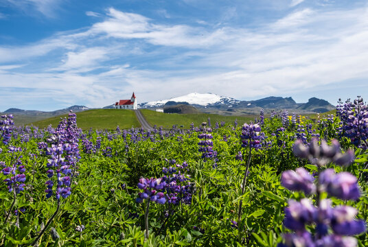 The Historic Ingjaldsh&oacute;ll on the Snaefellsnes Peninsula in West-Iceland.. the oldest concrete church in the world, Hellissandur Village, Iceland