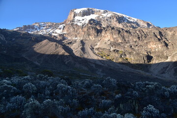 Amazing views of Mount Kilimanjaro from the trek up the Machame route
