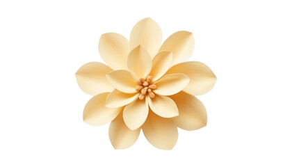 Fototapeta premium frangipani flower isolated on transparent background cutout