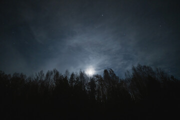 Night forest and the moon in the sky, photo with weak lighting.
