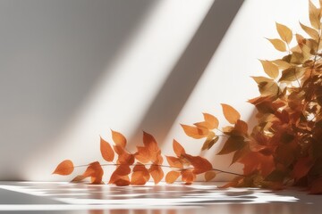 Leaves shadow on white wall with sunlight and shadow from window