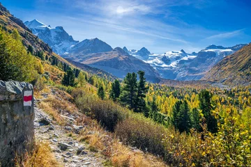 Fotobehang Wanderweg im herbstlichen Val Roseg, Pontresina, Engadin, Kanton Graubünden, Schweiz, © Jürgen Humbert
