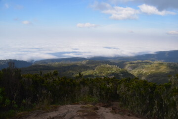 The misty rainforests at the food of Mount Kilimanjaro in Tanzania