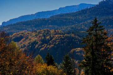 Panorama ausblick im Herbst mit blick auf die bunten bäume und die alpen