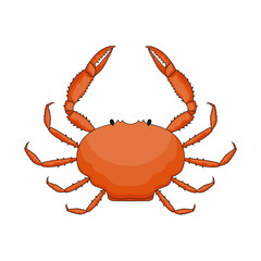 Vector red crab icon isolated on a white background. Marine inhabitants.