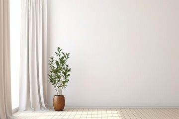 Indoor Plant Against Wall: Home Greenery