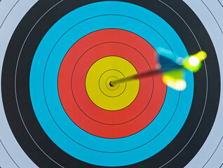 arrow shot in the center focus on target