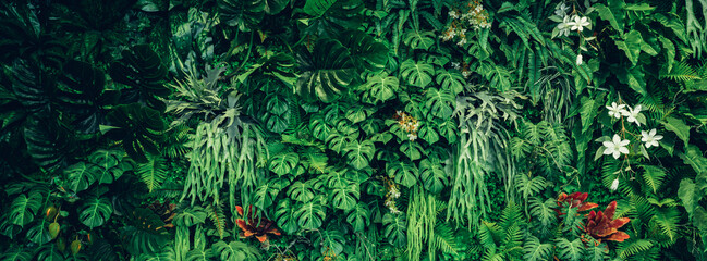 Group of background tropical green leaves texture. Natural green wallpaper and background. Green of...