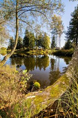 Obraz premium Mille étangs