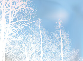 white bare branches on light blue background