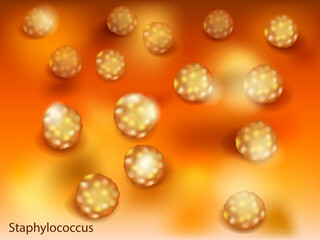 Vector illustration of the Staphylococcus aureus. Staphylococcus is a genus of Gram-positive bacteria in the family Staphylococcaceae from the order Bacillales.